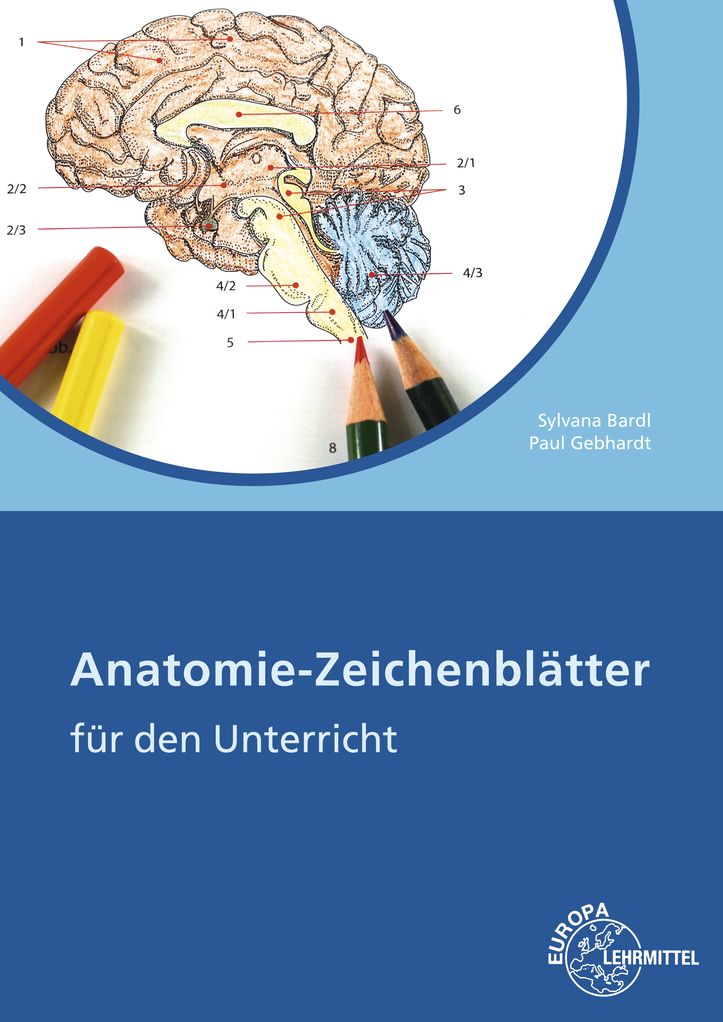 Anatomie-Zeichenblätter Arbeitsheft