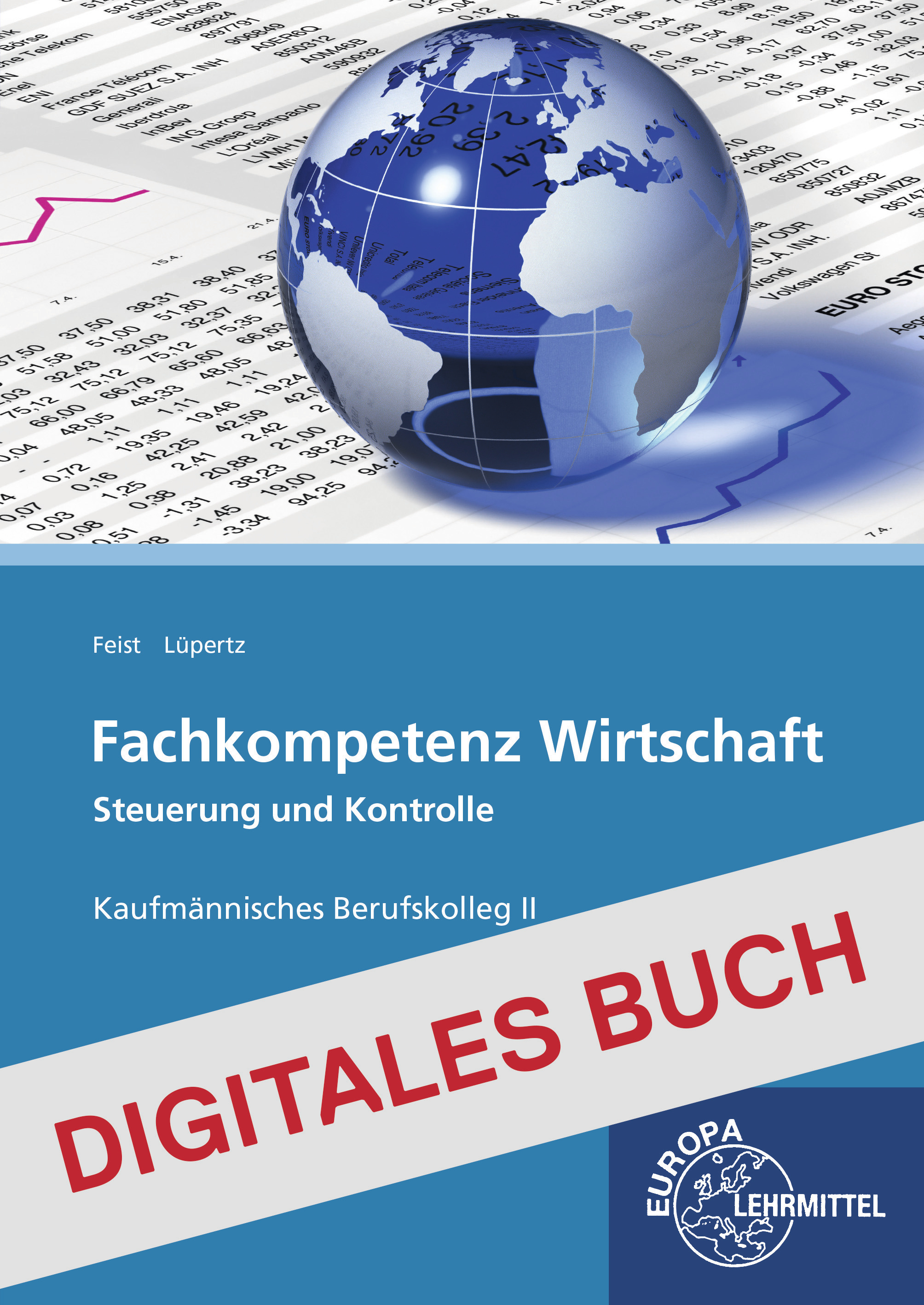 Fachkompetenz Wirtschaft - Steuerung und Kontrolle BK II Digitales Buch