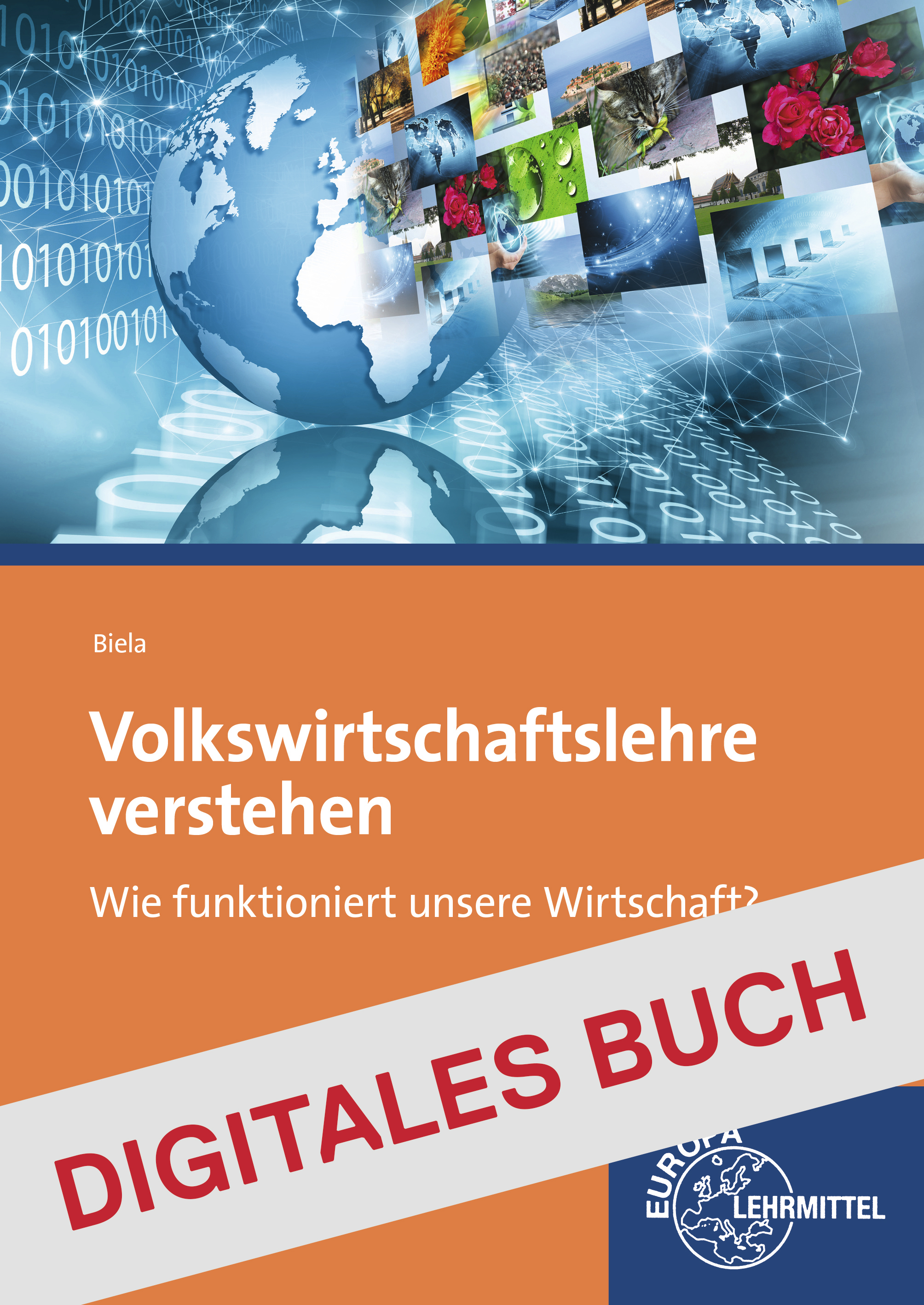 Volkswirtschaftslehre verstehen - Digitales Buch