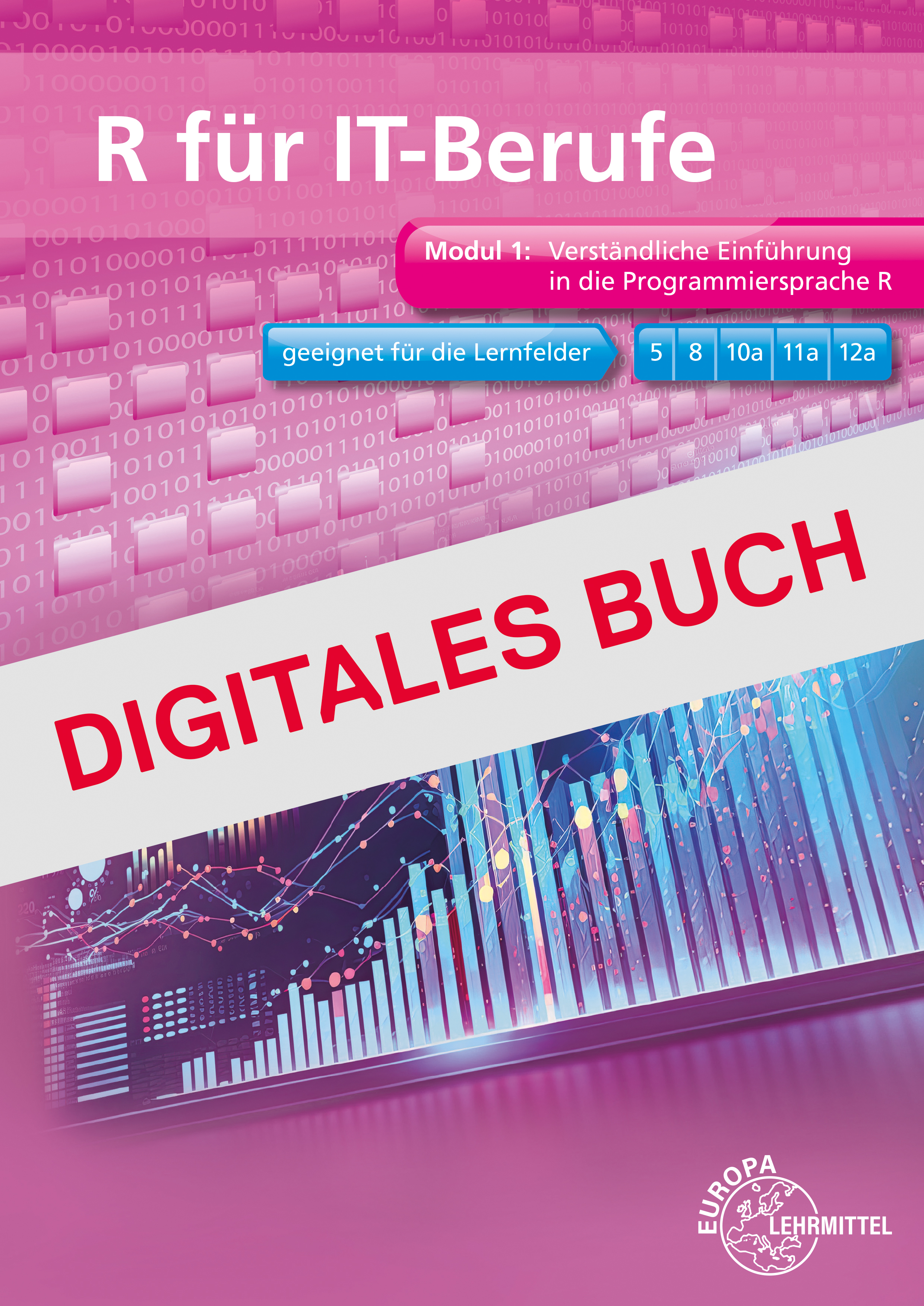 R für IT-Berufe Digitales Buch