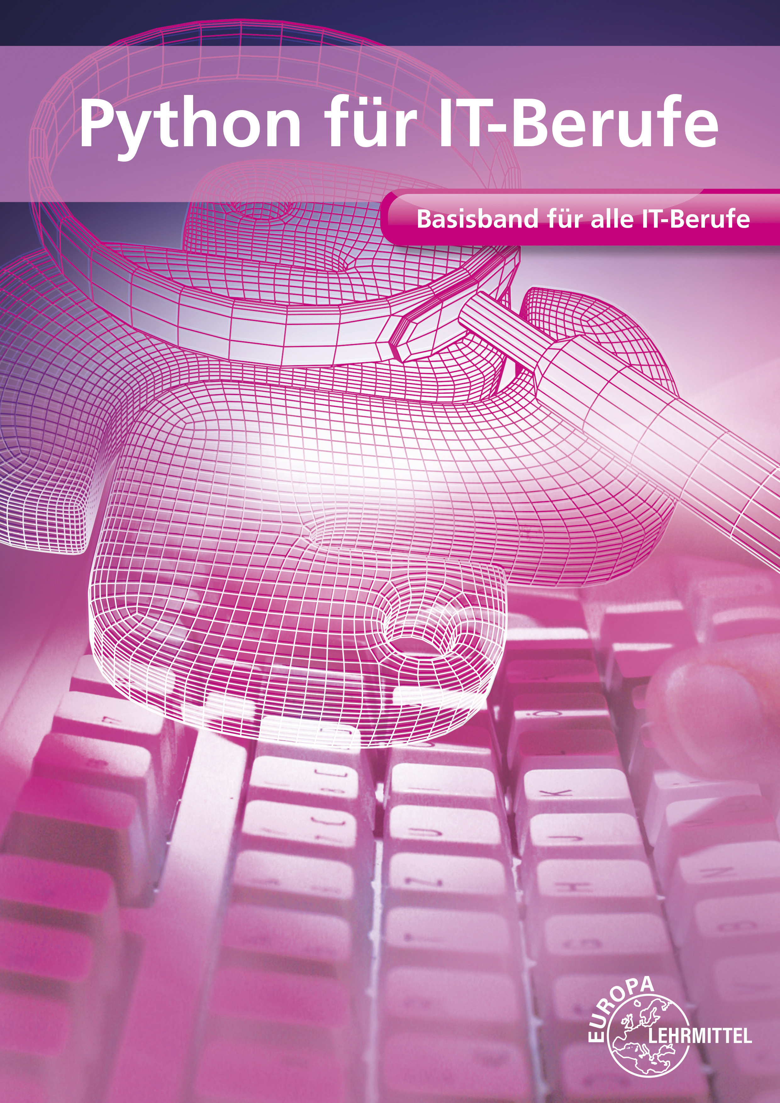 Python für IT-Berufe