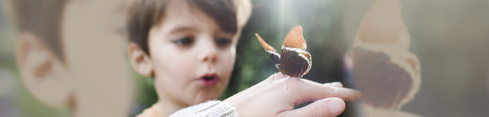 Sozialpädagogik / Erziehung