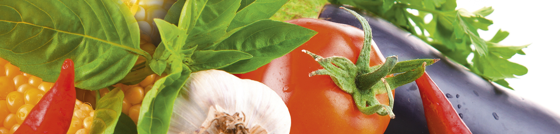 Hauswirtschaft / Ernährung