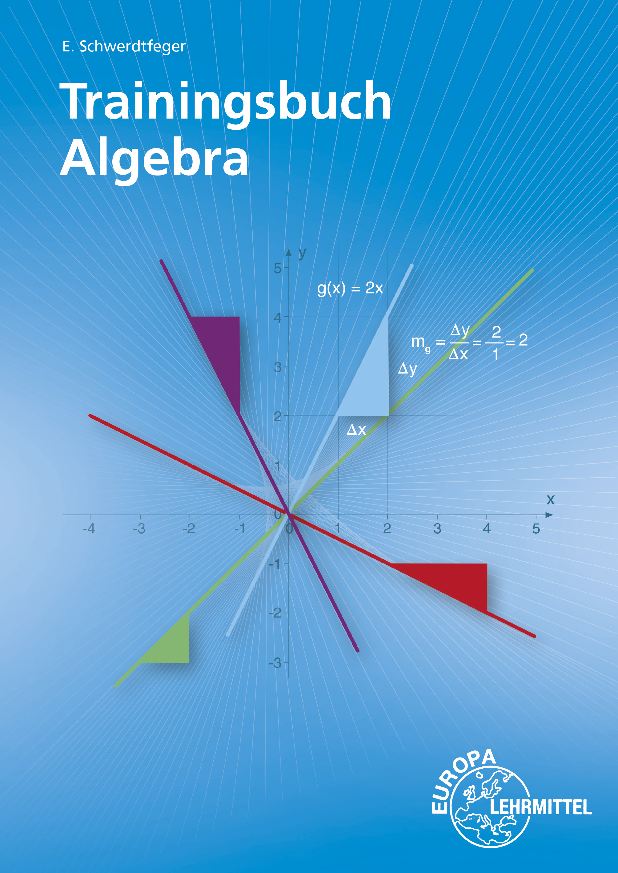 Trainingsbuch Algebra
