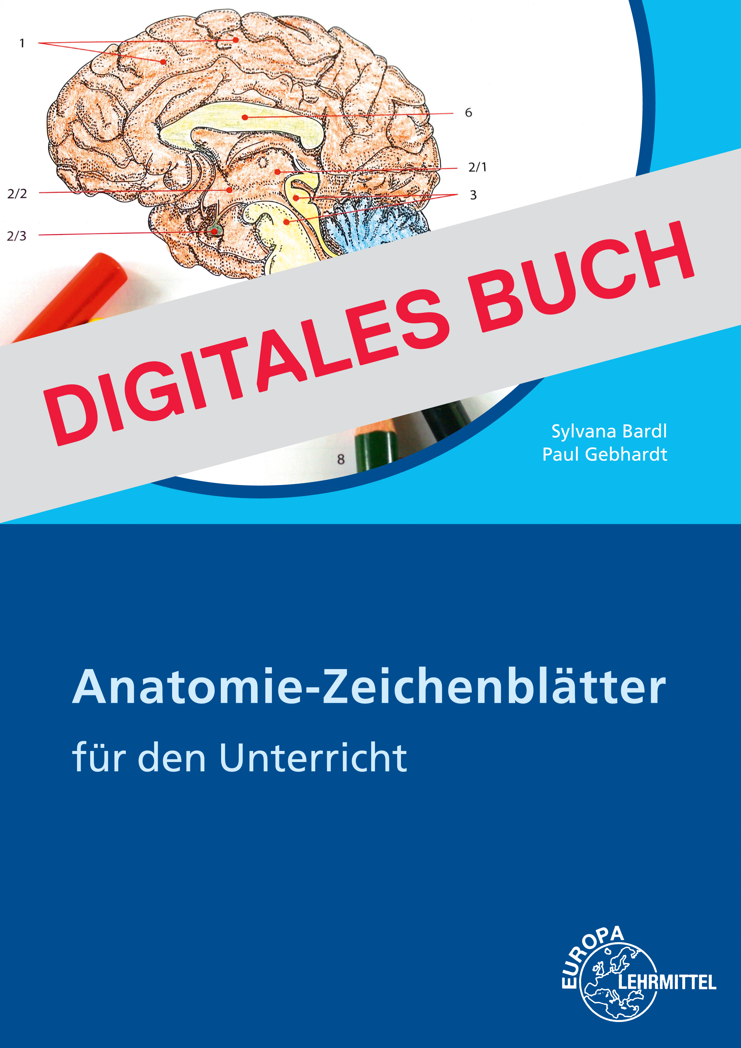 Anatomie Zeichenblätter Arbeitsheft - Digitales Buch